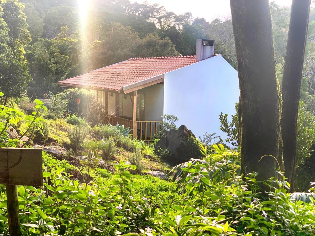 Eighteen21 Houses - Secluded Charm Cottage In Quinta Velha Синтра Экстерьер фото